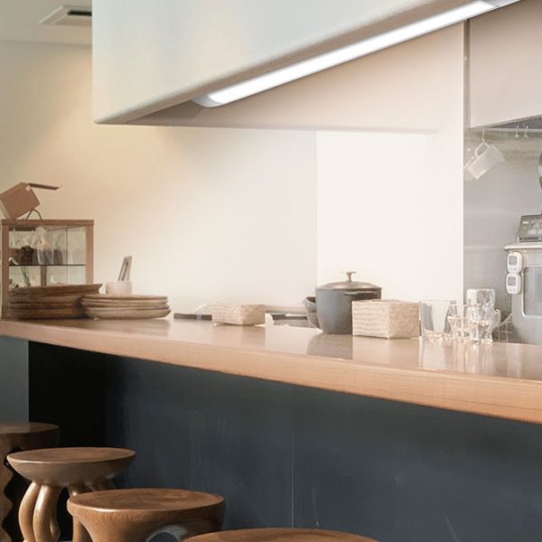 REGLETA ECOVISION BATTEN - Imagen 3