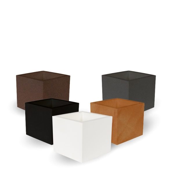 NARCISO 60 - Imagen 4