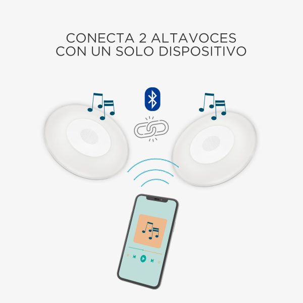 WALLY PLAY DISK 40 WALL POOL - Imagen 2