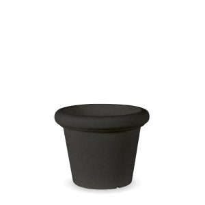 ROSA 45 RÚSTICA